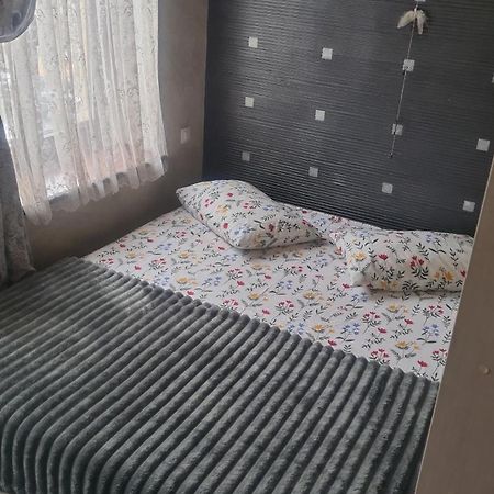 Cozy Compact Flat In The City Center リヴィウ エクステリア 写真
